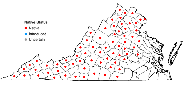 Locations ofAsplenium trichomanes L. ssp. trichomanes in Virginia