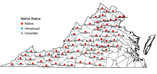 Locations ofAsplenium trichomanes L. ssp. trichomanes in Virginia
