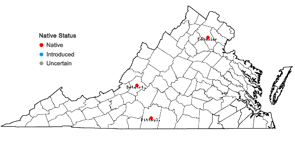 Locations ofAsplenium ×kentuckiense T.N. McCoy in Virginia