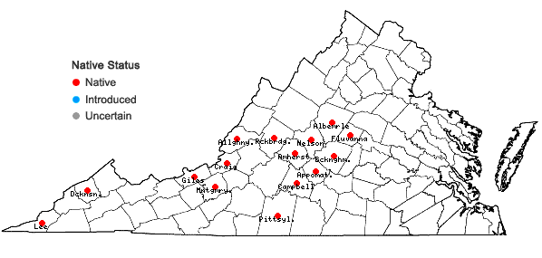 Locations ofAsplenium ×trudellii Wherry in Virginia