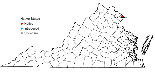 Locations ofAsplenium ×virginicum Maxon in Virginia