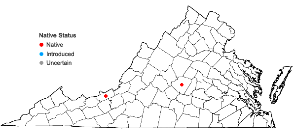 Locations ofAsplenium ×wherryi D.M. Sm. in Virginia