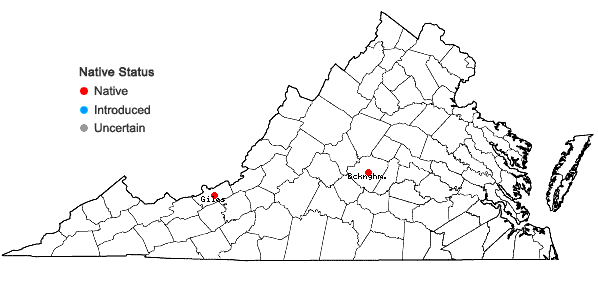 Locations ofAsplenium ×wherryi D.M. Sm. in Virginia