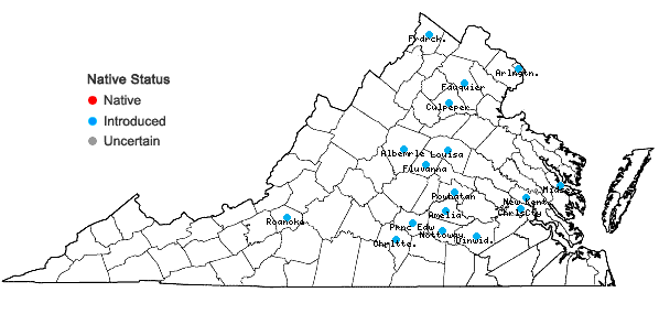 Locations ofAster tataricus L. f. in Virginia