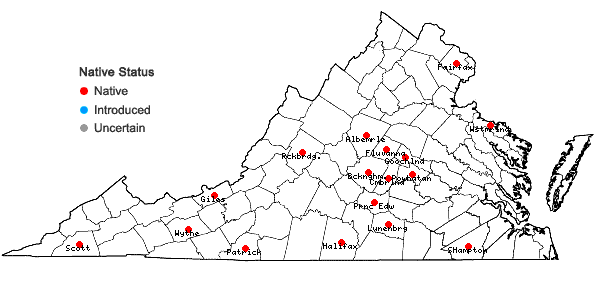 Locations ofAsterella tenella (L.) P. Beauv. in Virginia