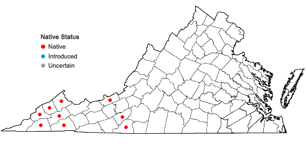 Locations ofAstilbe biternata (Vent.) Britt. in Virginia
