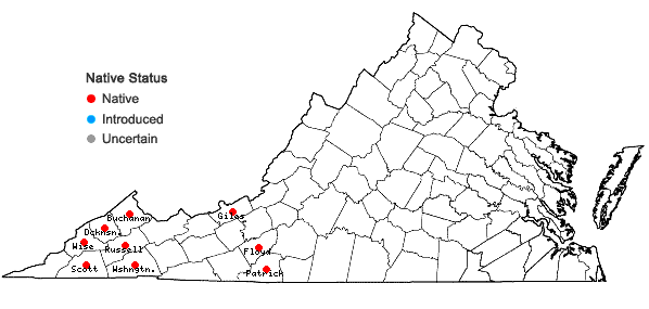 Locations ofAstilbe biternata (Vent.) Britt. in Virginia