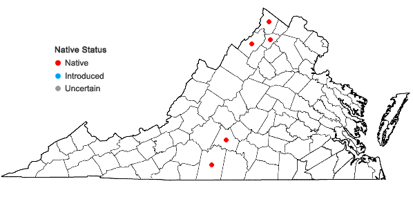 Locations ofAstragalus distortus T. & G. var. distortus in Virginia