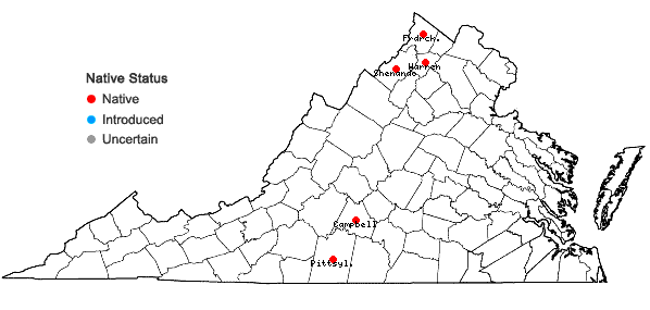 Locations ofAstragalus distortus T. & G. var. distortus in Virginia