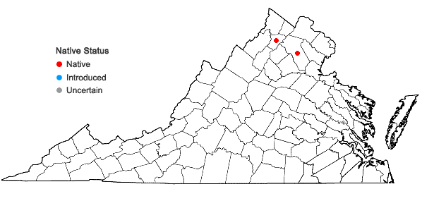 Locations ofAthyrium angustum (Willd.) K. Presl in Virginia