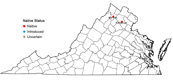 Locations ofAthyrium angustum (Willd.) K. Presl in Virginia