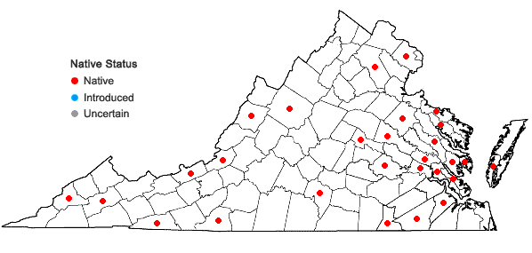 Locations ofAtrichum altecristatum (Renauld & Cardot) B.B. Smyth & L.C.D. Smyth in Virginia