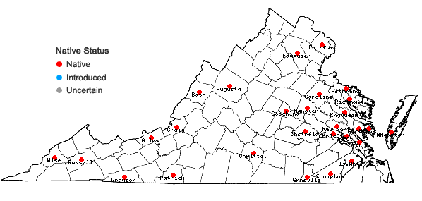 Locations ofAtrichum altecristatum (Renauld & Cardot) B.B. Smyth & L.C.D. Smyth in Virginia