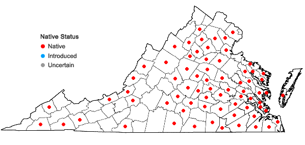 Locations ofAtrichum angustatum (Brid.) Bruch & Schimp. in Virginia