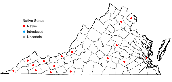 Locations ofAtrichum crispulum Schimp. ex Besch. in Virginia