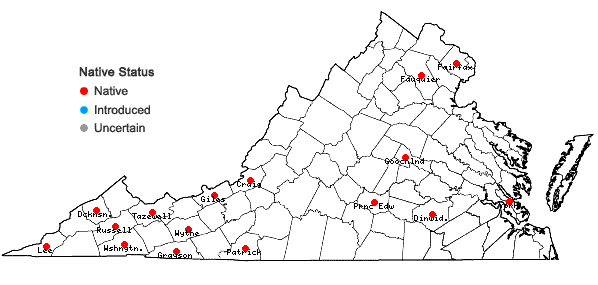 Locations ofAtrichum crispulum Schimp. ex Besch. in Virginia