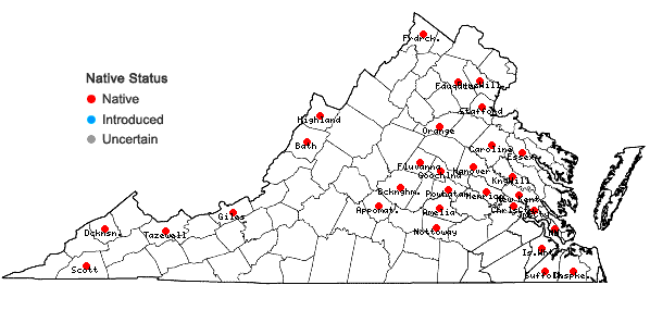 Locations ofAtrichum crispum (James) Sull. in Virginia