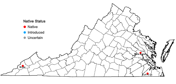 Locations ofAtrichum cylindricum (F. Weber) G.L. Sm. in Virginia