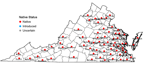 Locations ofAulacomnium palustre (Hedw.) Schwägr. in Virginia