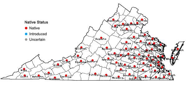 Locations ofAulacomnium palustre (Hedw.) Schwägr. in Virginia