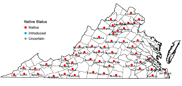 Locations ofAureolaria flava (L.) Farwell in Virginia