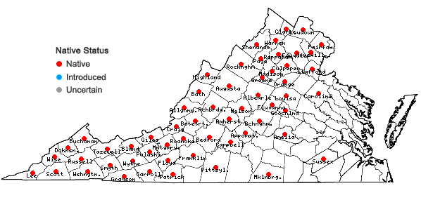 Locations ofAureolaria laevigata (Raf.) Raf. in Virginia