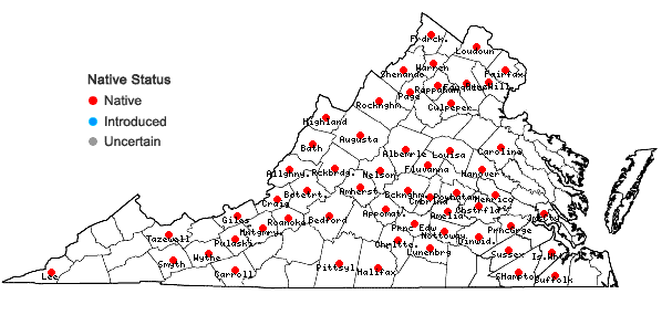 Locations ofAureolaria pedicularia (L.) Raf. in Virginia