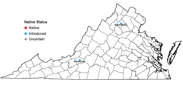 Locations ofAurinia saxatilis (L.) Desv. ssp. saxatilis in Virginia