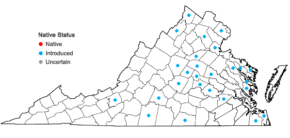 Locations ofAvena sativa L. in Virginia