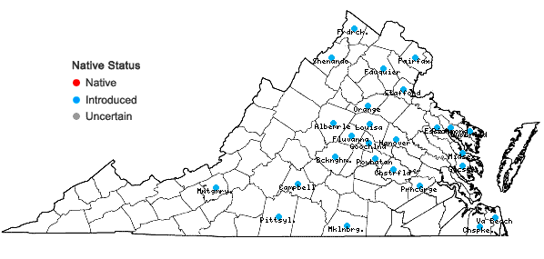 Locations ofAvena sativa L. in Virginia