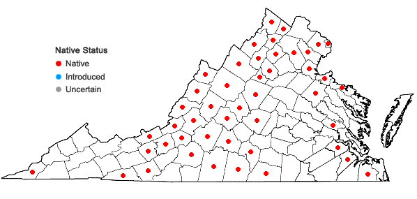 Locations ofAvenella flexuosa (Linnaeus) Drejer in Virginia