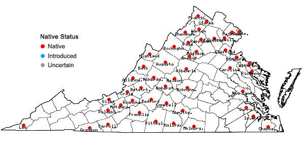 Locations ofAvenella flexuosa (Linnaeus) Drejer in Virginia