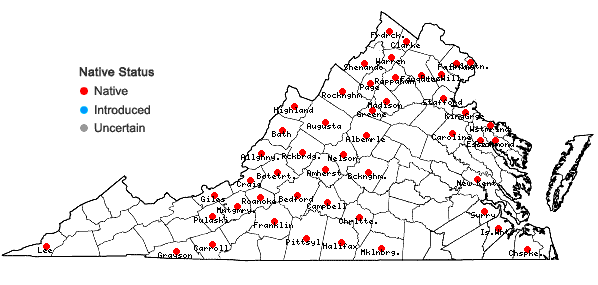 Locations ofAvenella flexuosa (Linnaeus) Drejer in Virginia