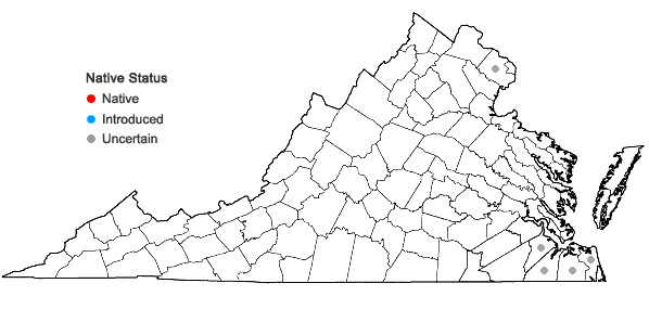 Locations ofAxonopus fissifolius (Raddi) Kuhlm. in Virginia