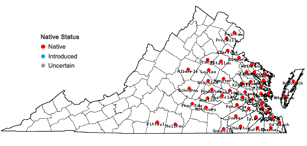 Locations ofBaccharis halimifolia L. in Virginia