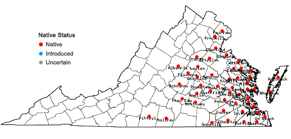 Locations ofBaccharis halimifolia L. in Virginia