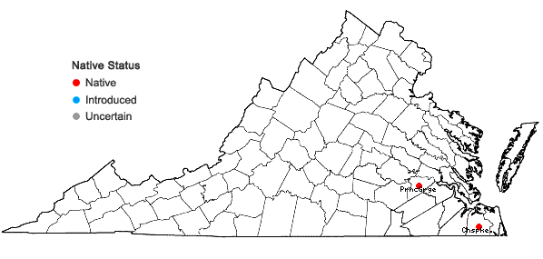 Locations ofBacopa caroliniana (Walter) B.L. Robinson in Virginia