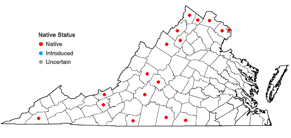 Locations ofBaptisia australis (L.) R. Brown in Virginia