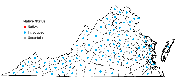 Locations ofBarbarea vulgaris R. Brown in Virginia