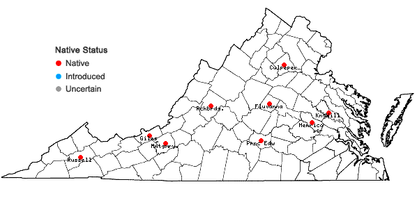 Locations ofBarbula convoluta Hedw. var. convoluta in Virginia