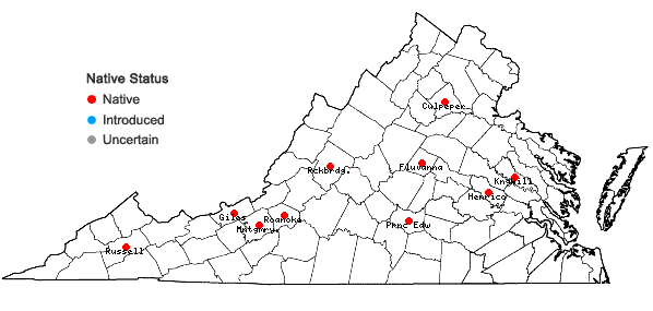 Locations ofBarbula convoluta Hedw. var. convoluta in Virginia