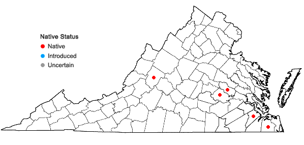 Locations ofBarbula indica (Hook.) Spreng. var. indica in Virginia