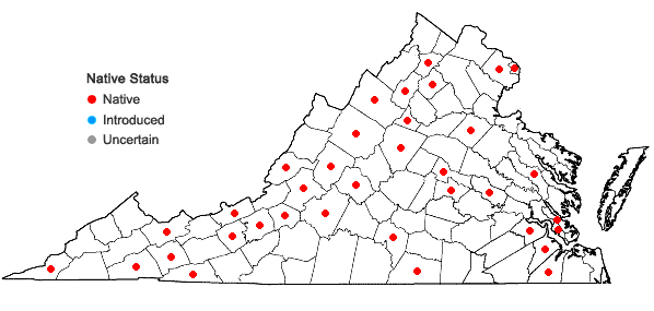 Locations ofBarbula unguiculata Hedwig in Virginia