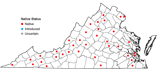 Locations ofBarbula unguiculata Hedwig in Virginia