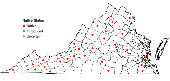 Locations ofBarbula unguiculata Hedwig in Virginia