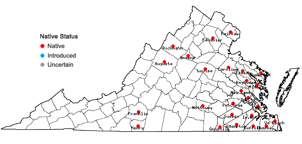 Locations ofBartonia paniculata (Michx.) Muhl. ssp. paniculata in Virginia