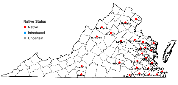 Locations ofBartonia paniculata (Michx.) Muhl. ssp. paniculata in Virginia