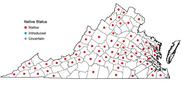 Locations ofBartramia pomiformis Hedwig in Virginia