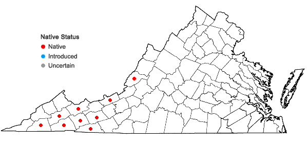 Locations ofBazzania denudata (Torr. ex Gottsche, Lindenb. & Nees) Trevis. in Virginia