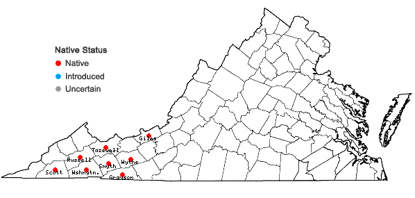 Locations ofBazzania denudata (Torr. ex Gottsche, Lindenb. & Nees) Trevis. in Virginia